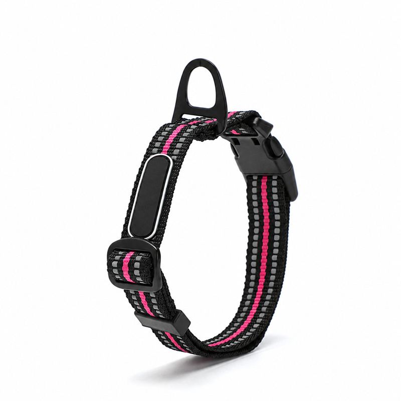 Fuchsia Striped Adjustable Dog Collar