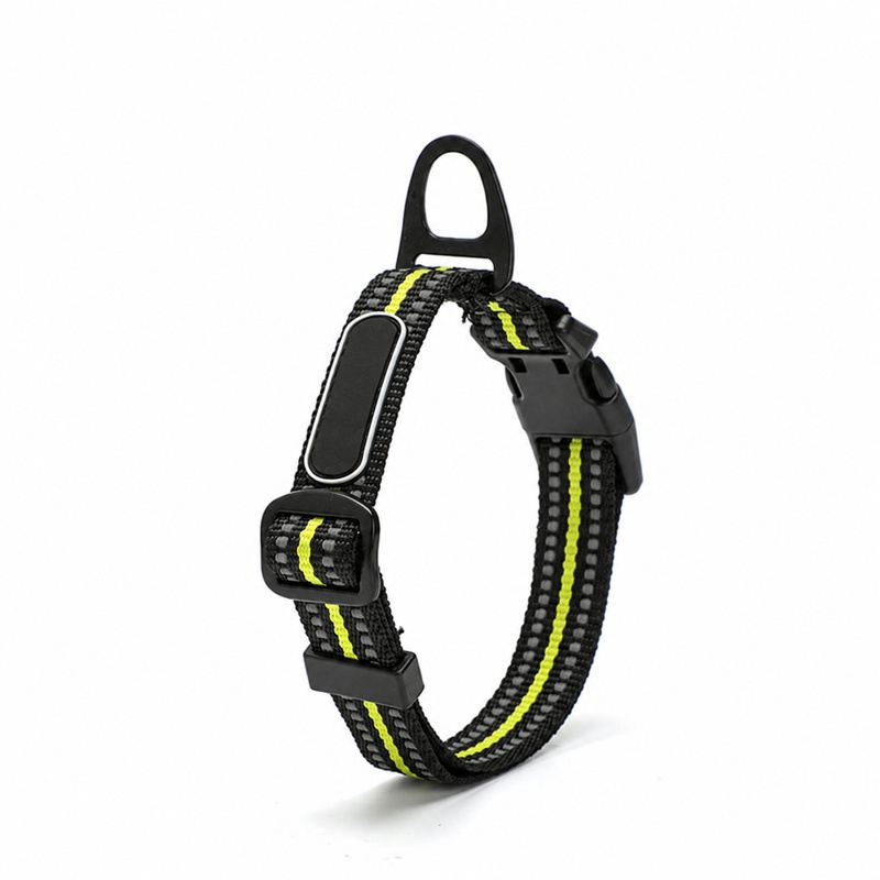 Neon Yellow Striped Adjustable Dog Collar