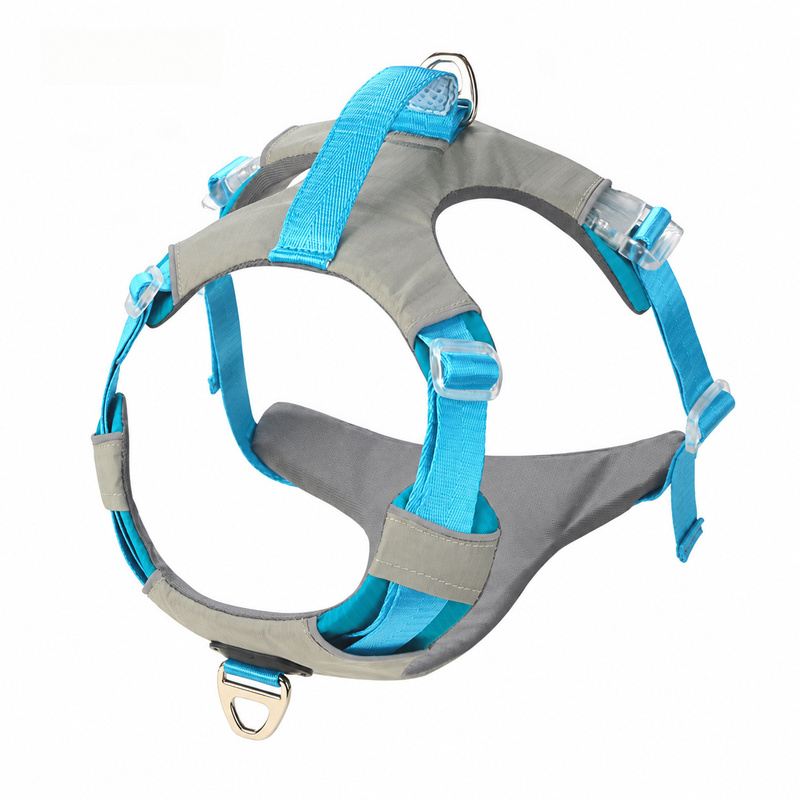 Cyan Blue And Gray Padded Adjustable Dog Harness