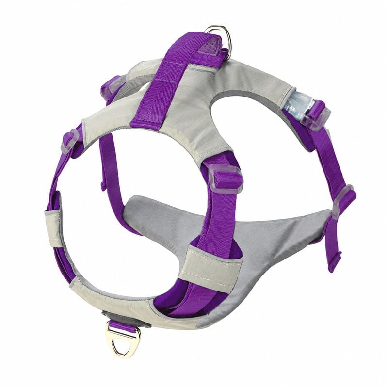 Purple And Gray Padded Adjustable Dog Harness