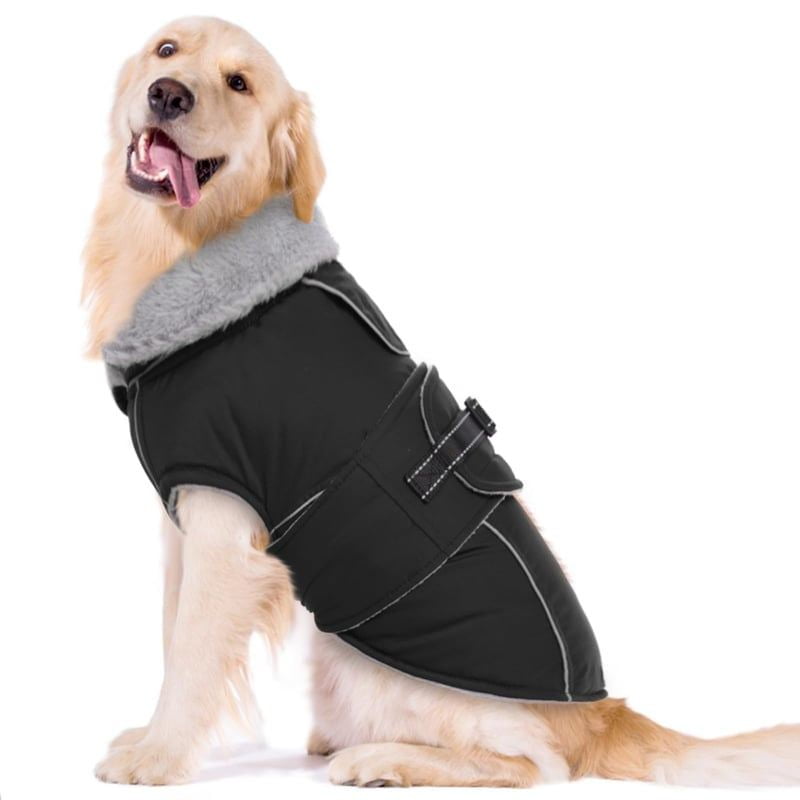 dog coat black fleece neck wrap dog wearing main