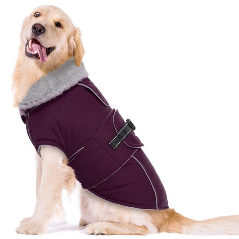 Burgundy Wrap Dog Coat with Fleece Neck