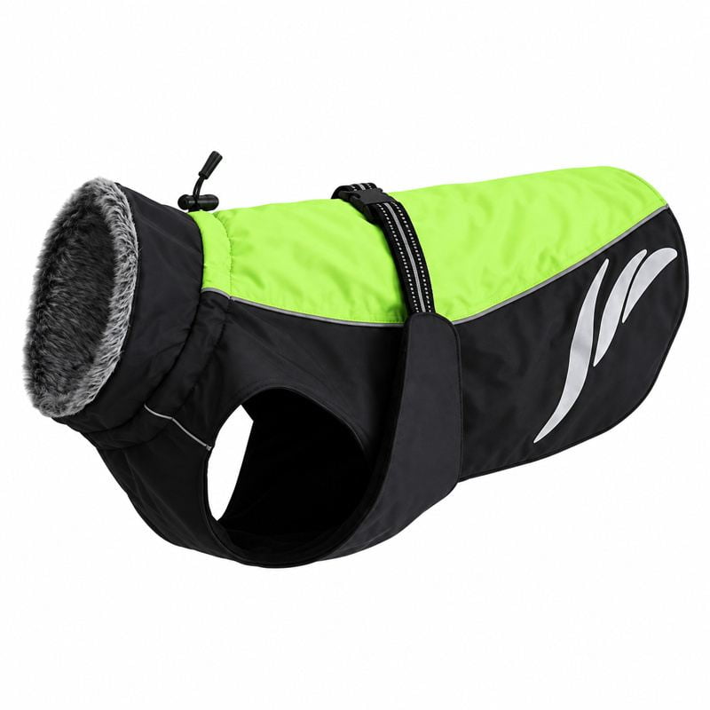 Neon Lime and Black High-Neck Dog Coat with Back Buckle