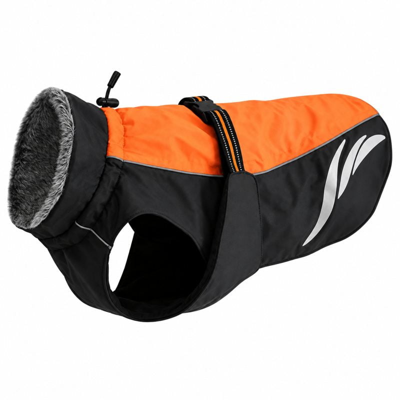 Orange and Black High-Neck Dog Coat with Back Buckle