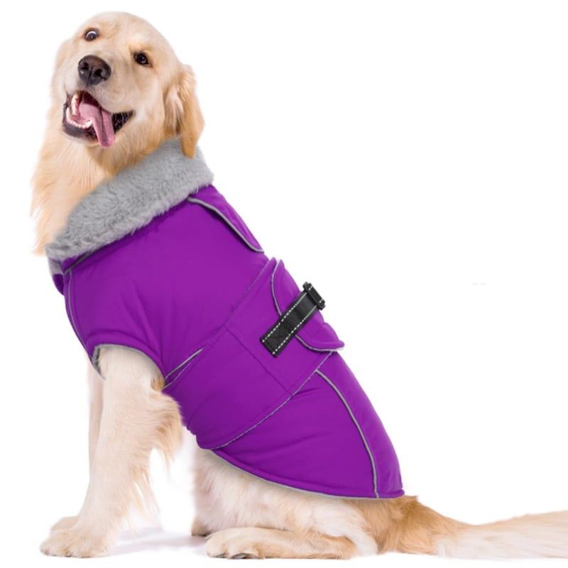 Purple Wrap Dog Coat with Fleece Neck