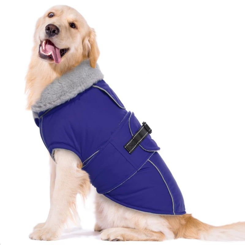 Royal Blue Wrap Dog Coat with Fleece Neck