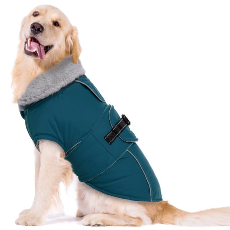 Teal Wrap Dog Coat with Fleece Neck