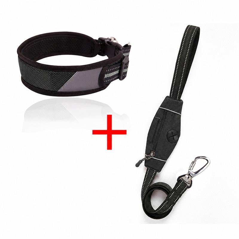 Black Padded Dog Collar And Leash Set With Storage Pocket