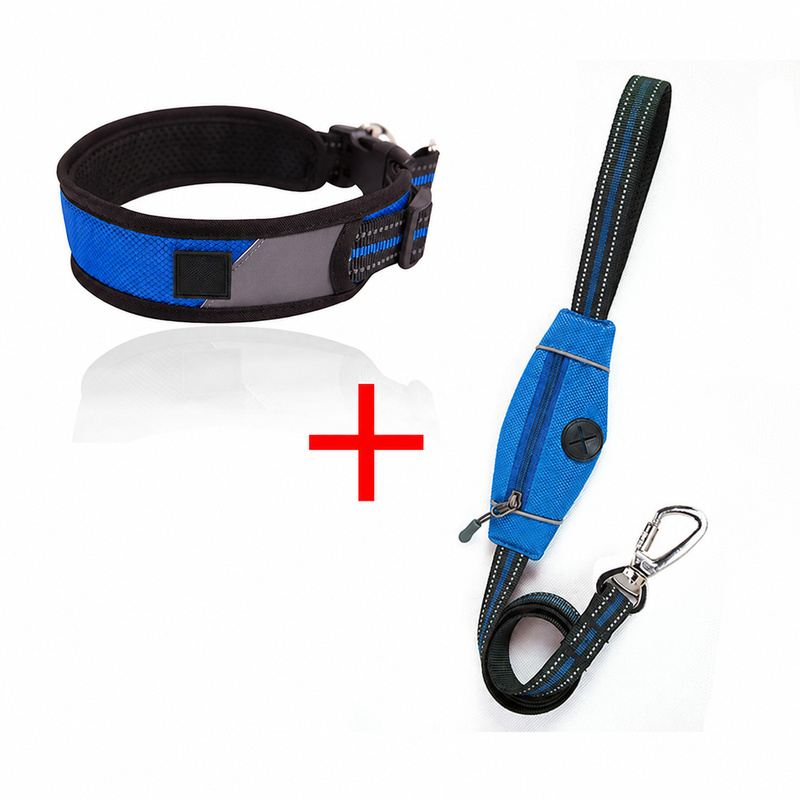 Blue Padded Dog Collar And Leash Set With Storage Pocket