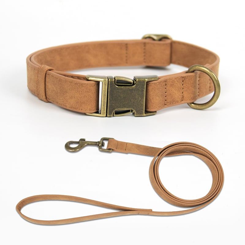 Camel Flat-Strap Dog Collar And Leash Set