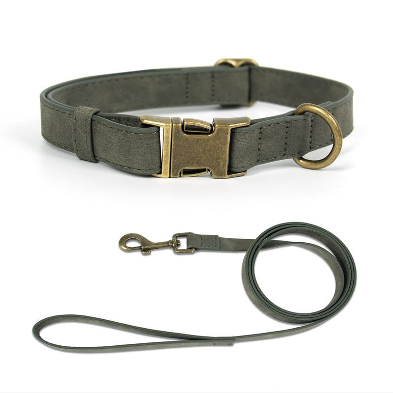 Olive Green Flat-Strap Dog Collar And Leash Set