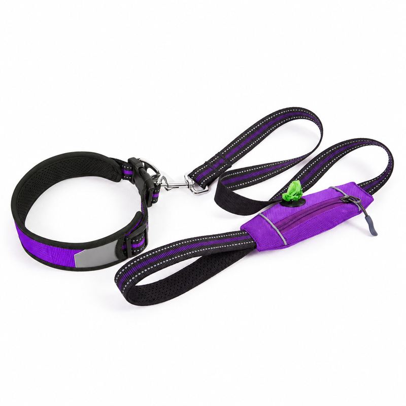 Purple Padded Dog Collar And Leash Set With Storage Pocket