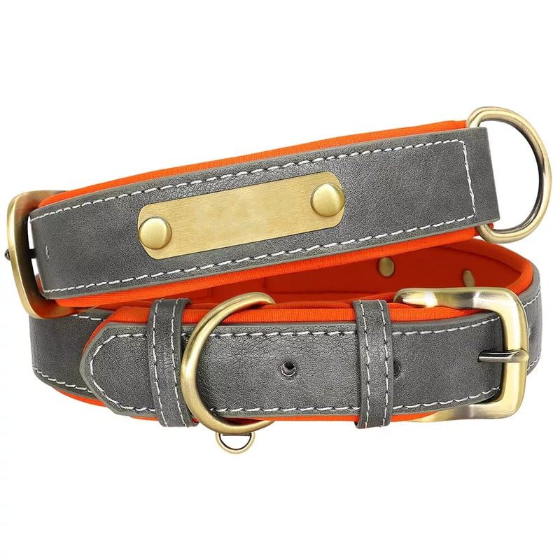 Gray Padded Dog Collar With Nameplate
