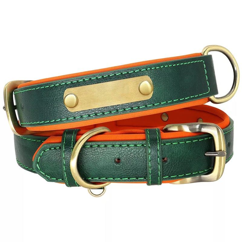 Green Padded Dog Collar With Nameplate