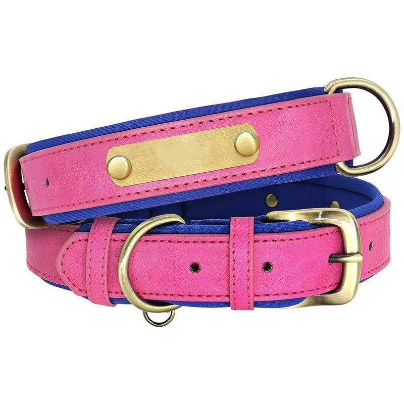 Magenta Padded Dog Collar With Nameplate