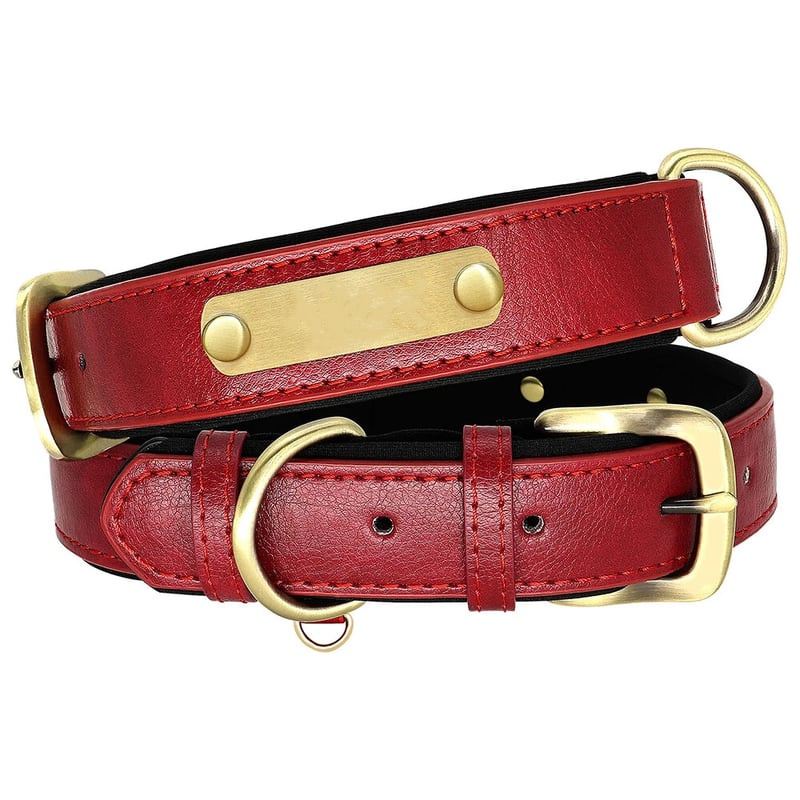 Red Padded Dog Collar With Nameplate