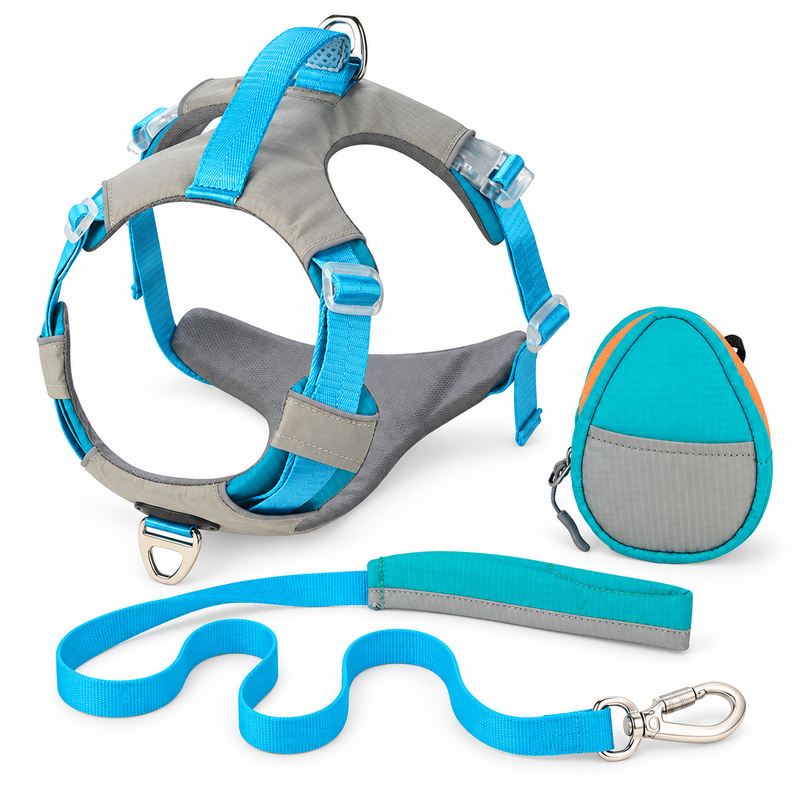 Cyan Blue And Gray Dog Harness, Leash And Pouch Set