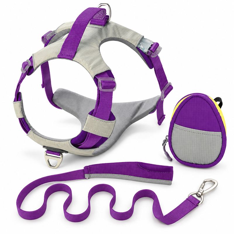 Purple And Gray Dog Harness, Leash And Pouch Set