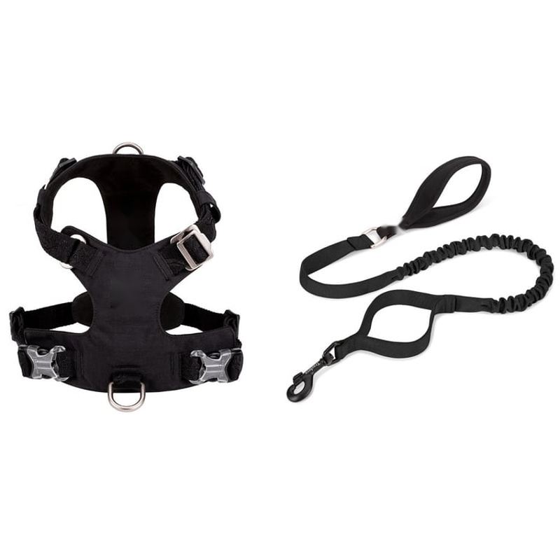 Black Padded Dog Harness And Bungee Leash Set