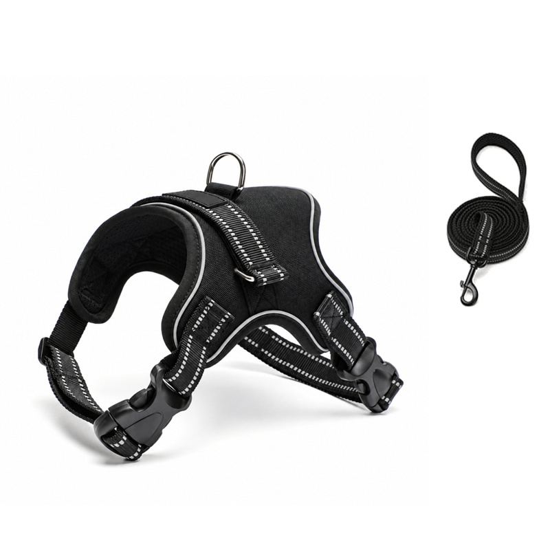 Black Saddle Dog Harness And Leash Set