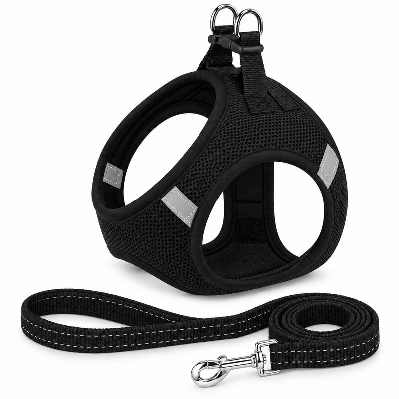 Black Step-In Dog Harness And Leash Set