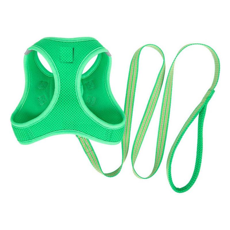 Grass Green Mesh Vest Dog Harness And Leash Set