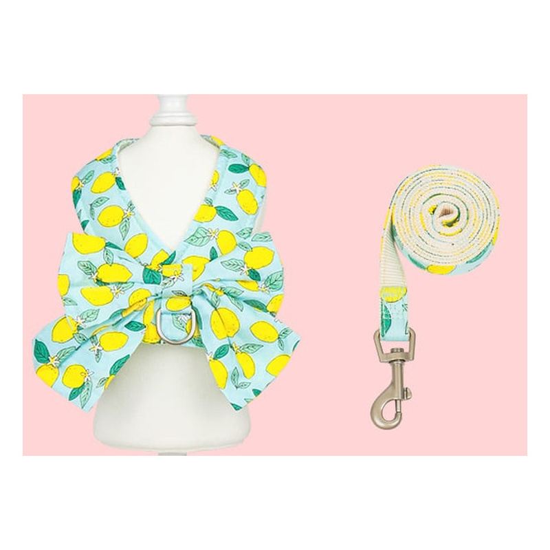 Mint Lemon Bow Vest Dog Harness And Leash Set