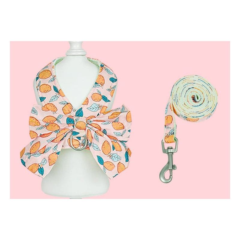 Orange Fruit Bow Vest Dog Harness And Leash Set