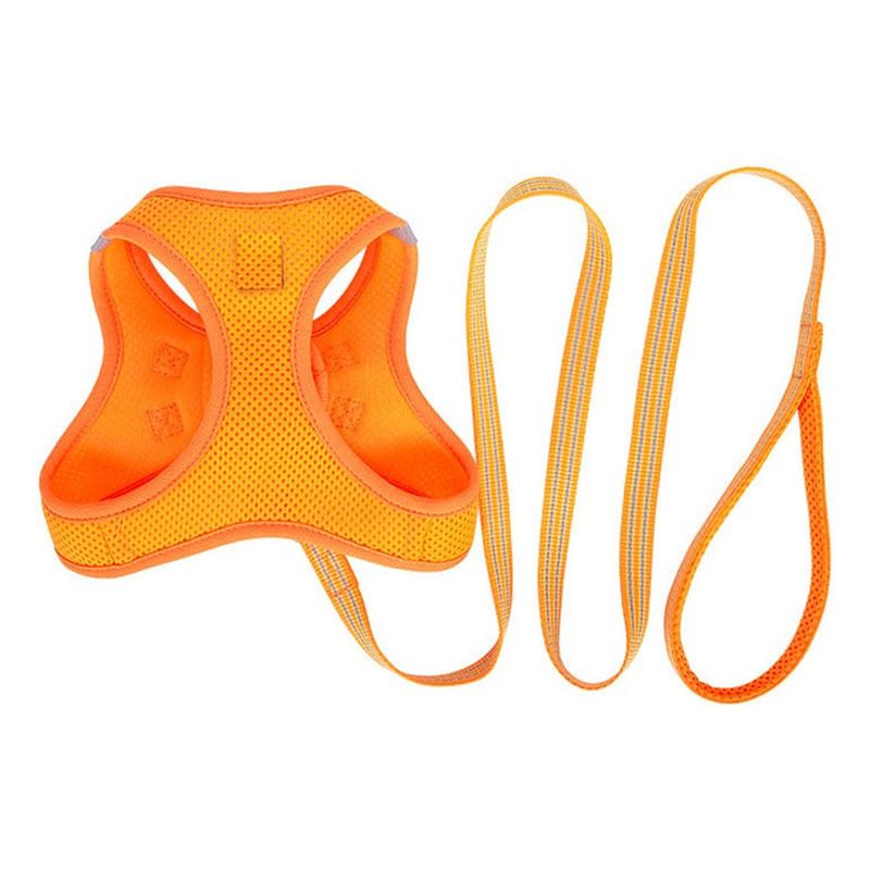 Orange Mesh Vest Dog Harness And Leash Set