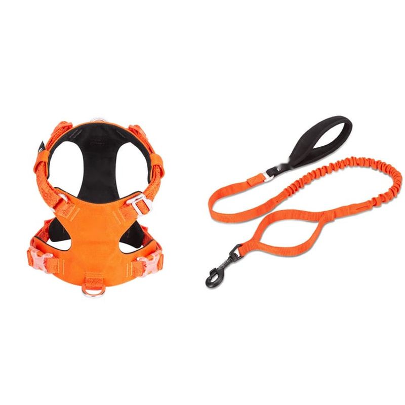 Orange Padded Dog Harness And Bungee Leash Set