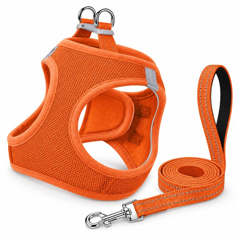 Orange Step-In Dog Harness And Leash Set