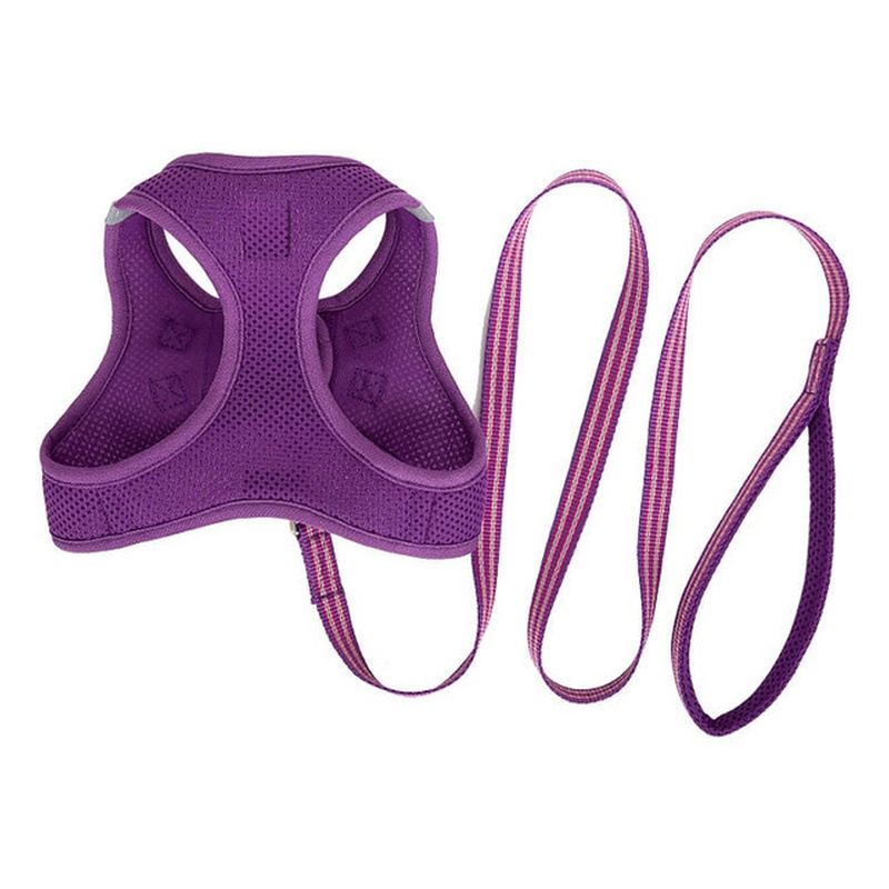 Purple Mesh Vest Dog Harness And Leash Set
