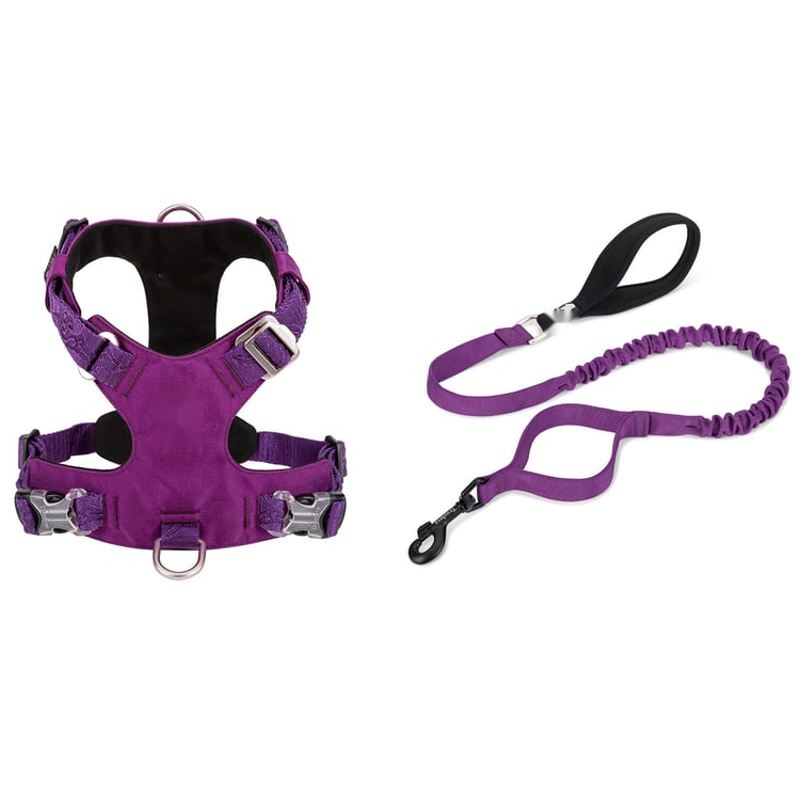 Purple Padded Dog Harness And Bungee Leash Set