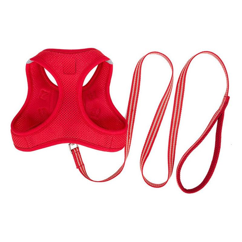 Red Mesh Vest Dog Harness And Leash Set