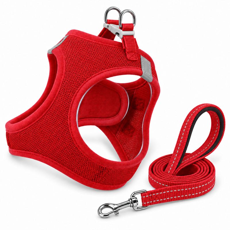 Red Step-In Dog Harness And Leash Set