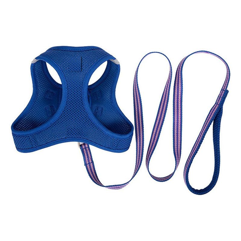 Royal Blue Mesh Vest Dog Harness And Leash Set