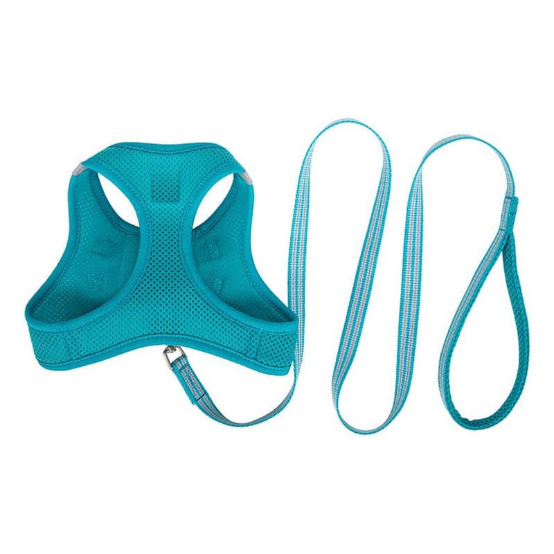 Teal Mesh Vest Dog Harness And Leash Set