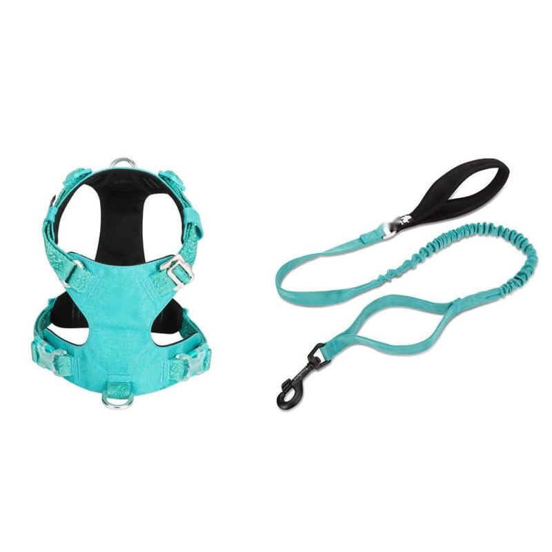 Turquoise Padded Dog Harness And Bungee Leash Set