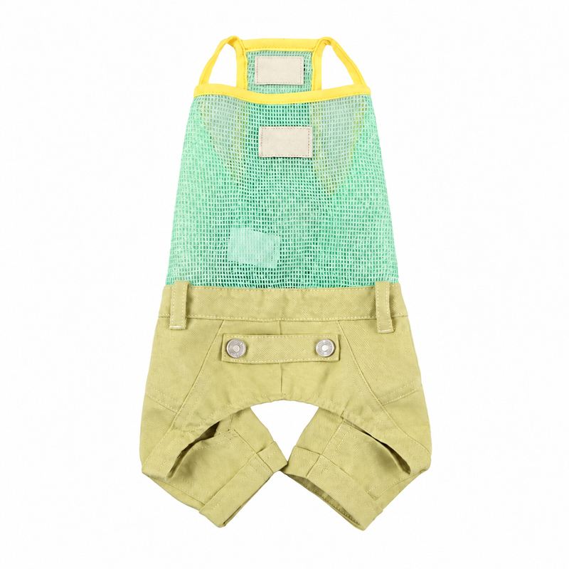 Mint Mesh Dog Overalls with Yellow Shorts