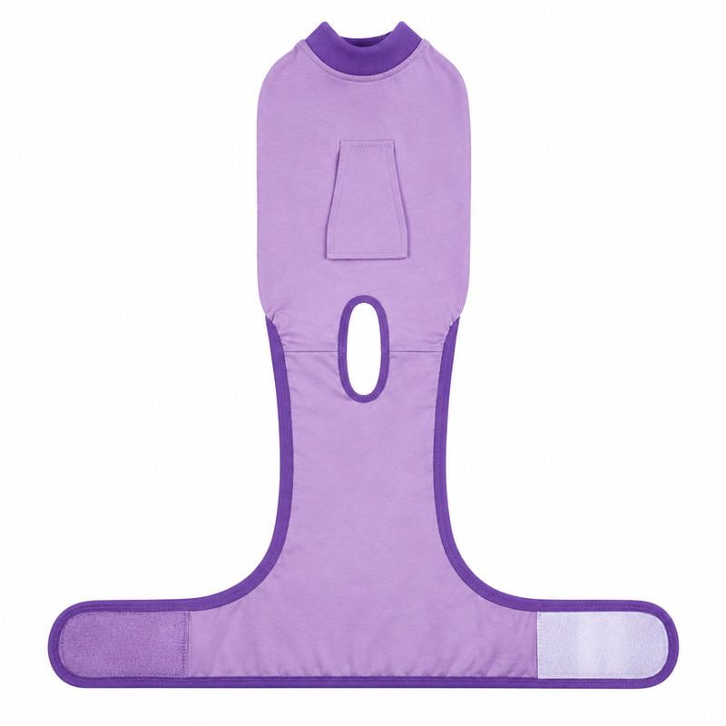 Purple Dog Recovery Suit