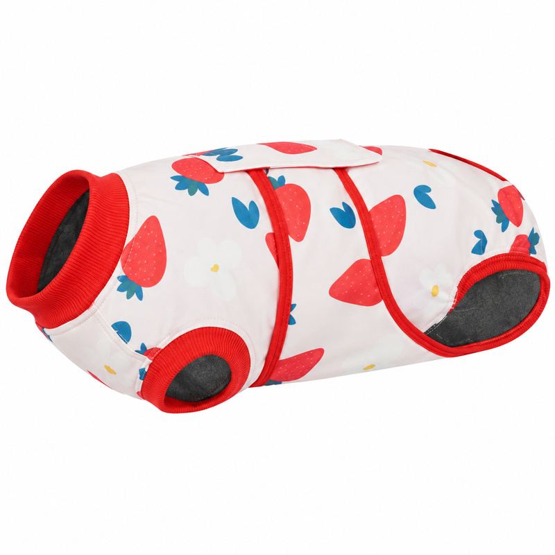 White Strawberry-Print Dog Recovery Suit