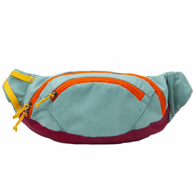 Aqua Dog Walking Waist Bag