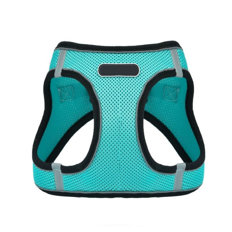 Turquoise Mesh Cat Vest Harness