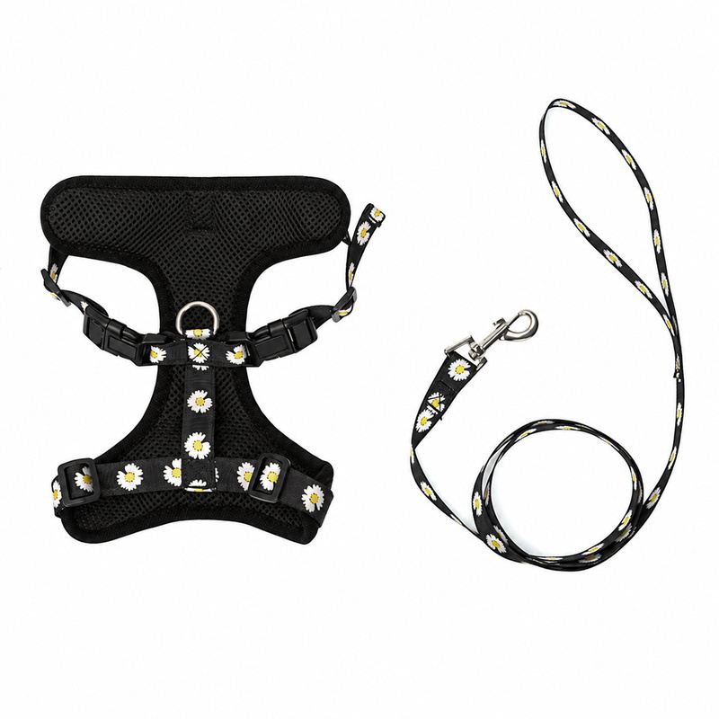 Black Daisy Mesh Pet Harness And Leash Set