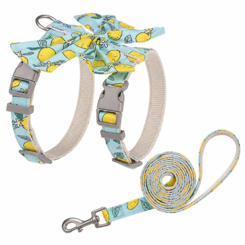 Mint Lemon Bow Strap Pet Harness And Leash Set