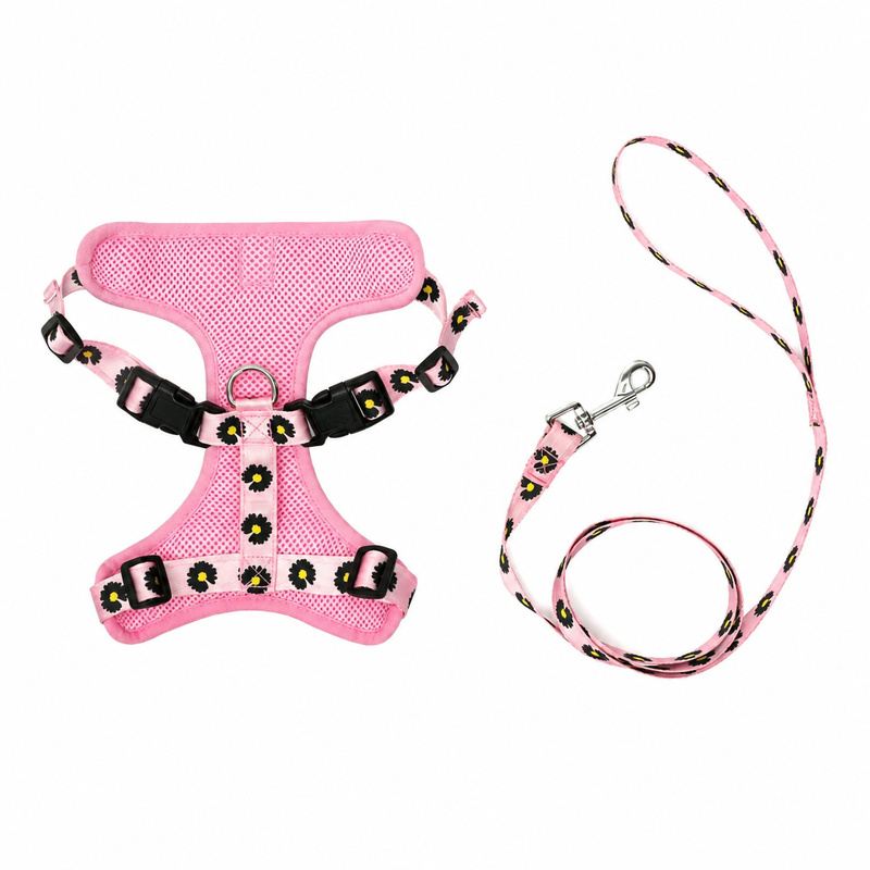 Pink Daisy Mesh Pet Harness And Leash Set
