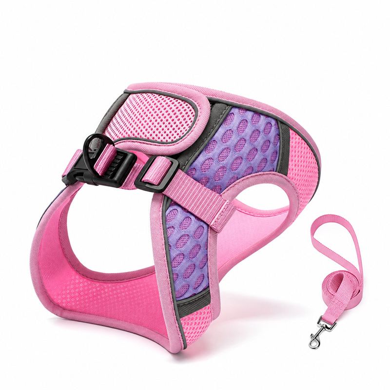 Pink And Purple Oval Mesh Pet Harness And Leash Set