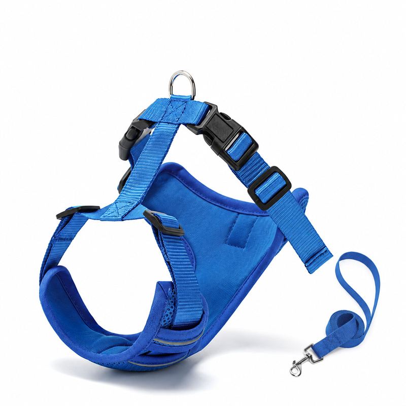 Royal Blue Mesh Bib Pet Harness And Leash Set