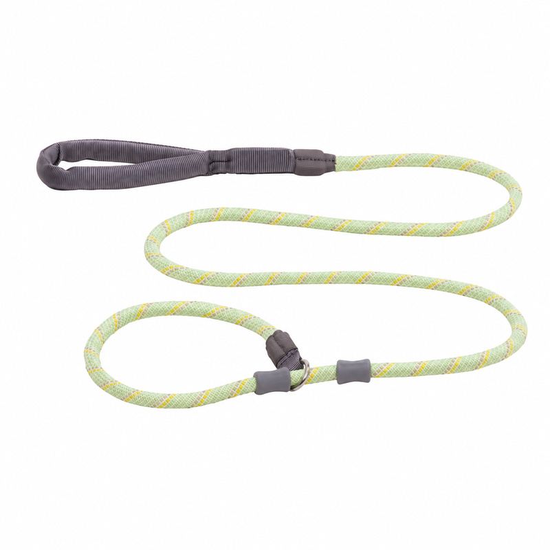 Lime Rope Slip Lead For Dogs